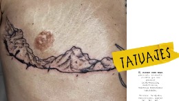 5a-tatu-convertido-a-pequeño